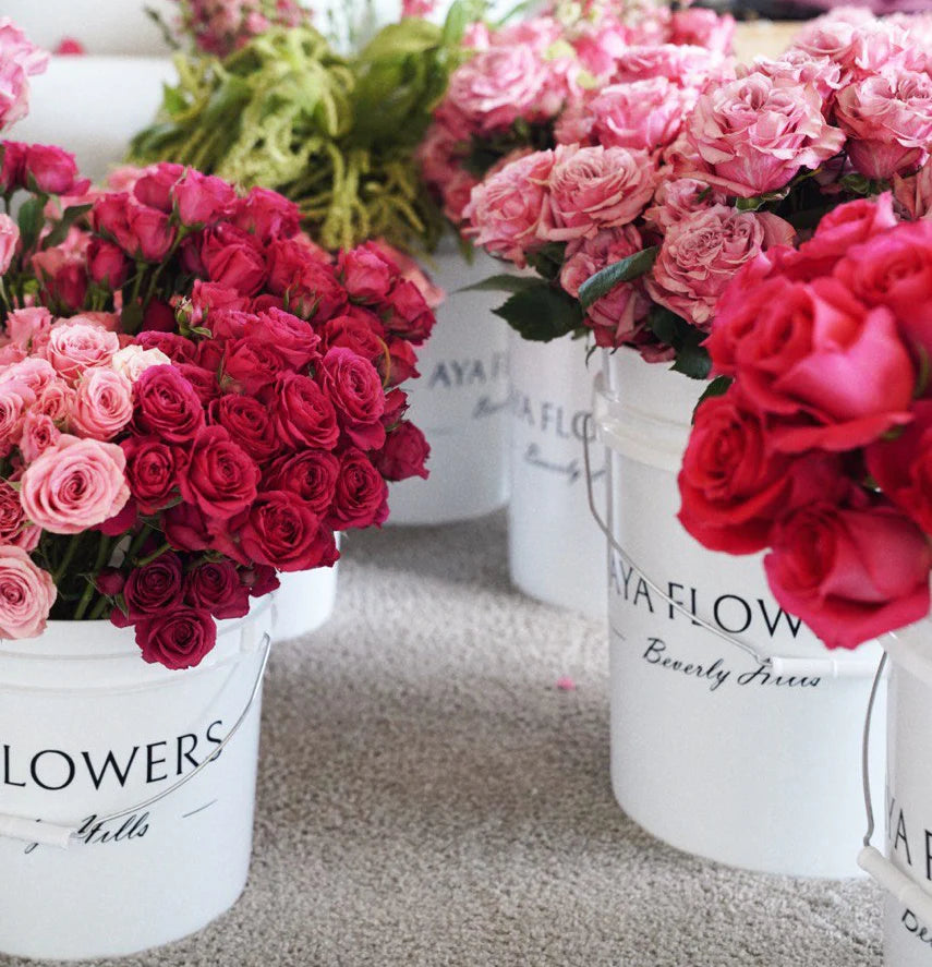 When Do Roses Bloom?