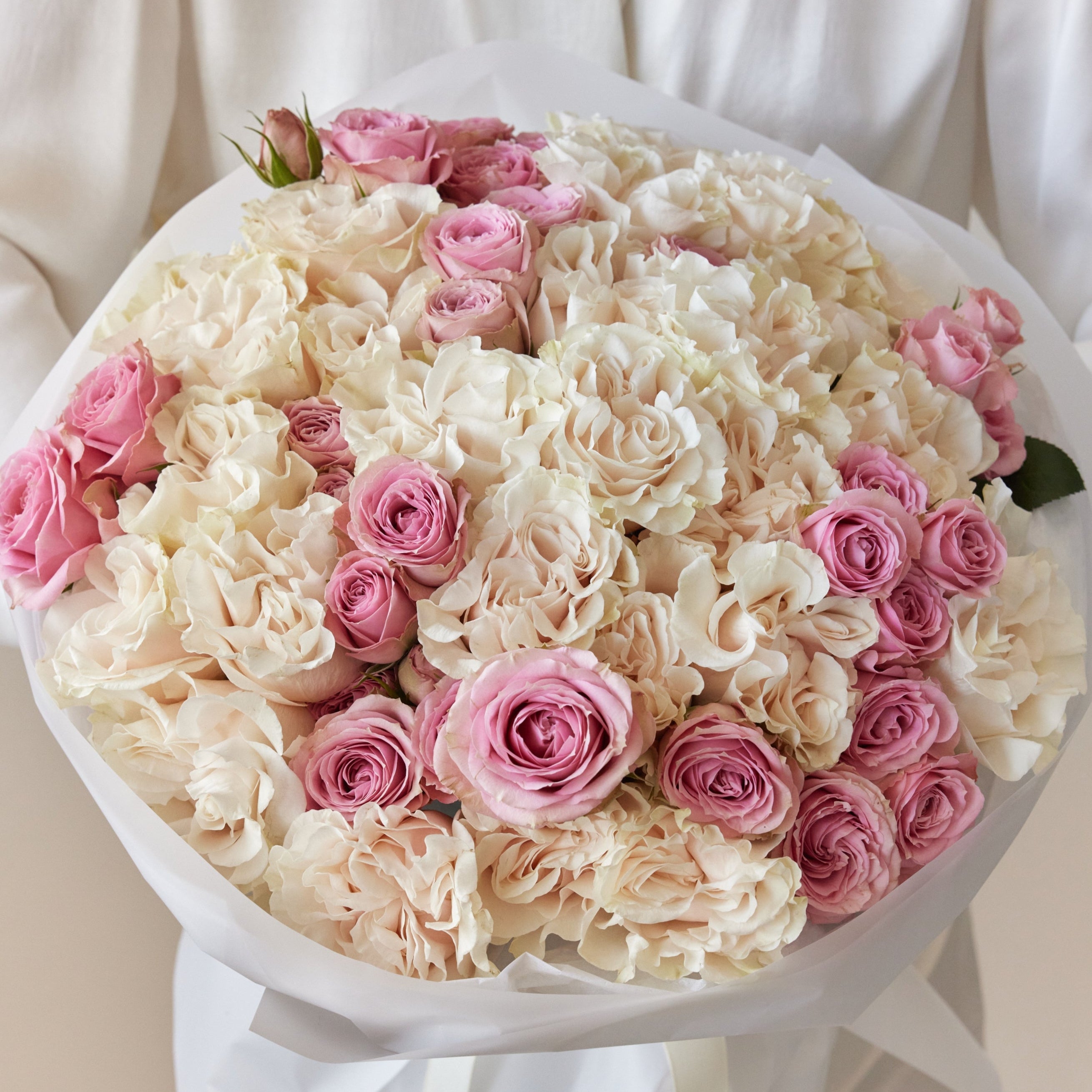 No.302 Majestic Delight