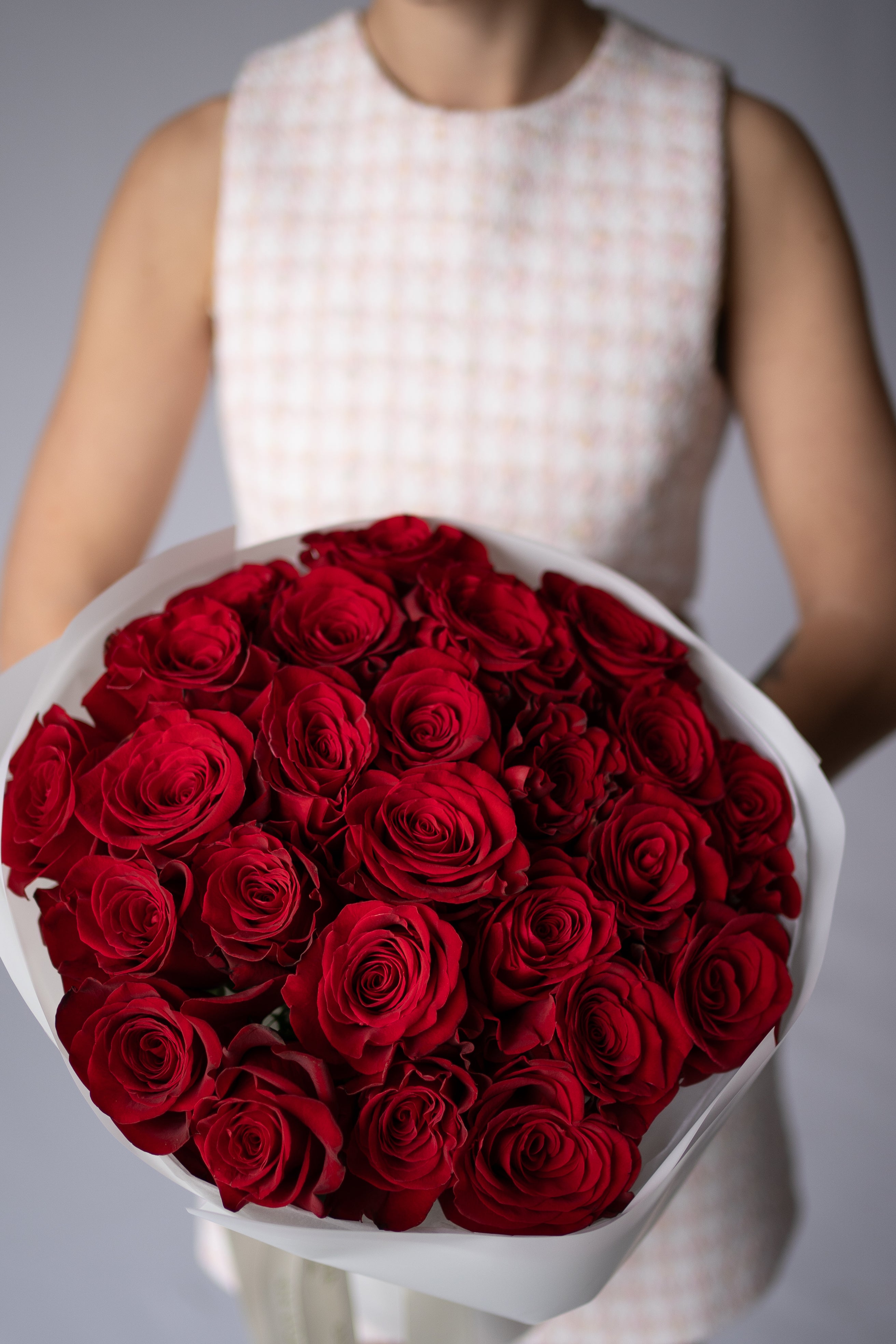 No. 006 Scarlet Rose