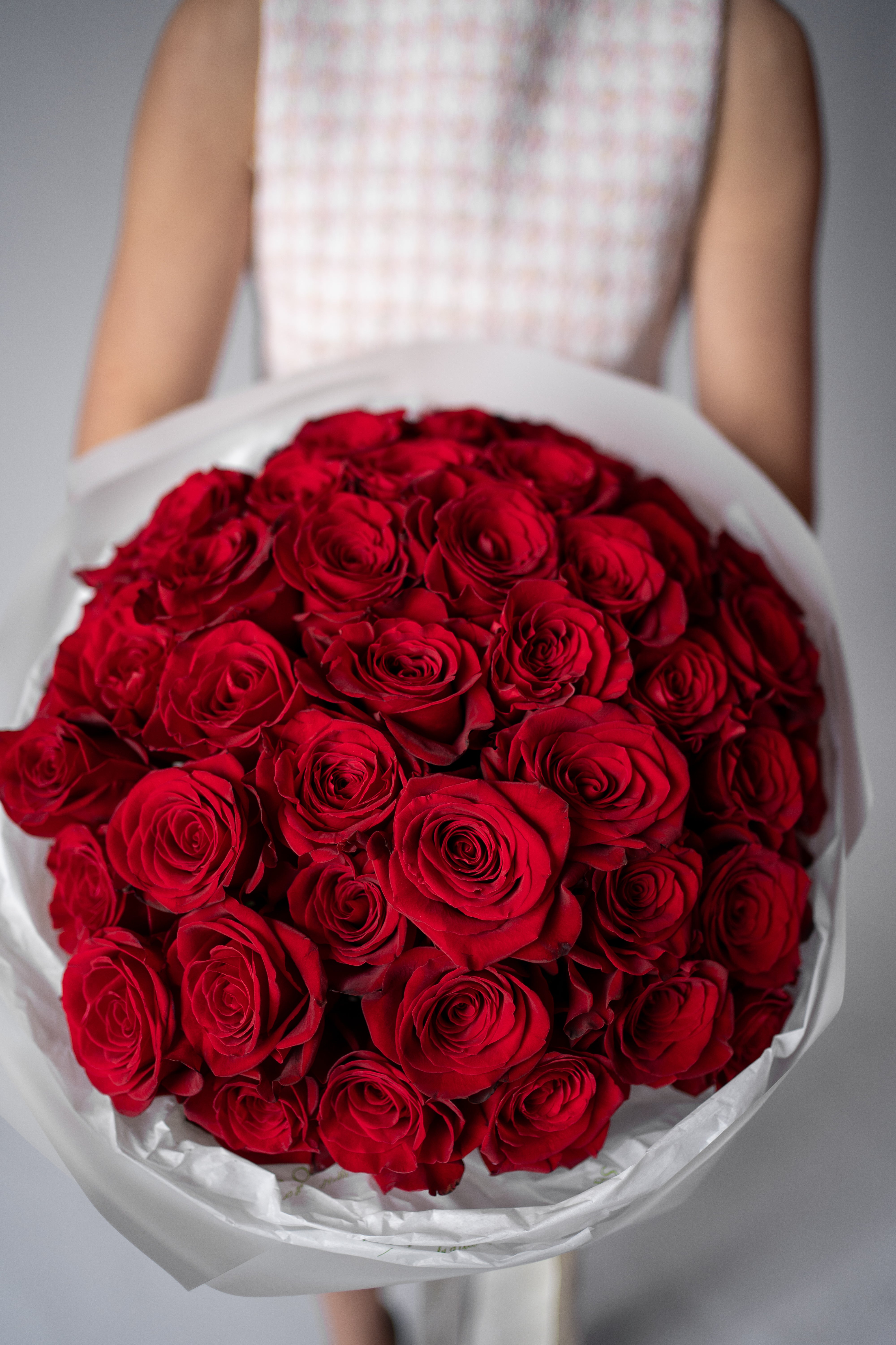 No. 007 Scarlet Rose