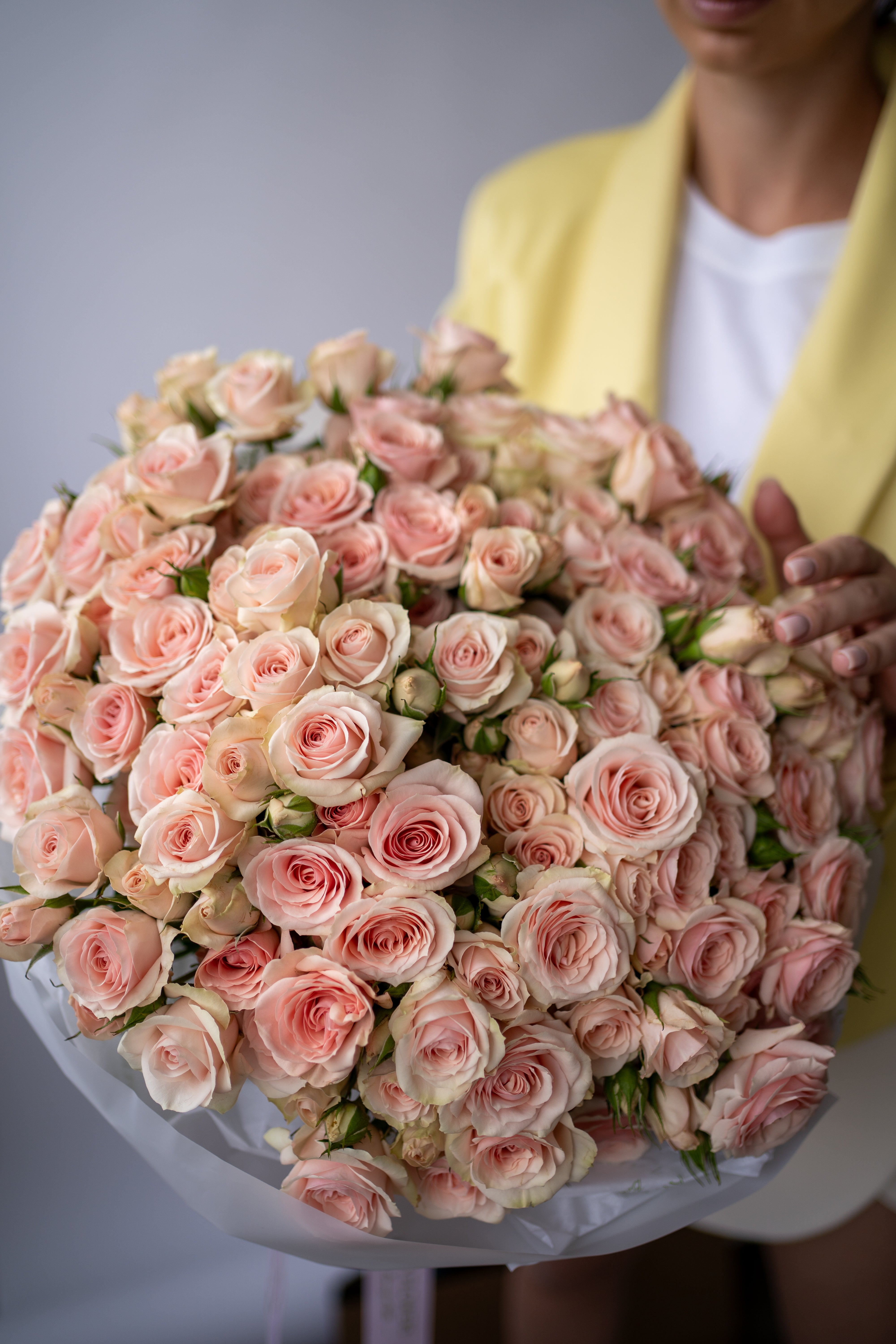 No. 07 Gentle roses