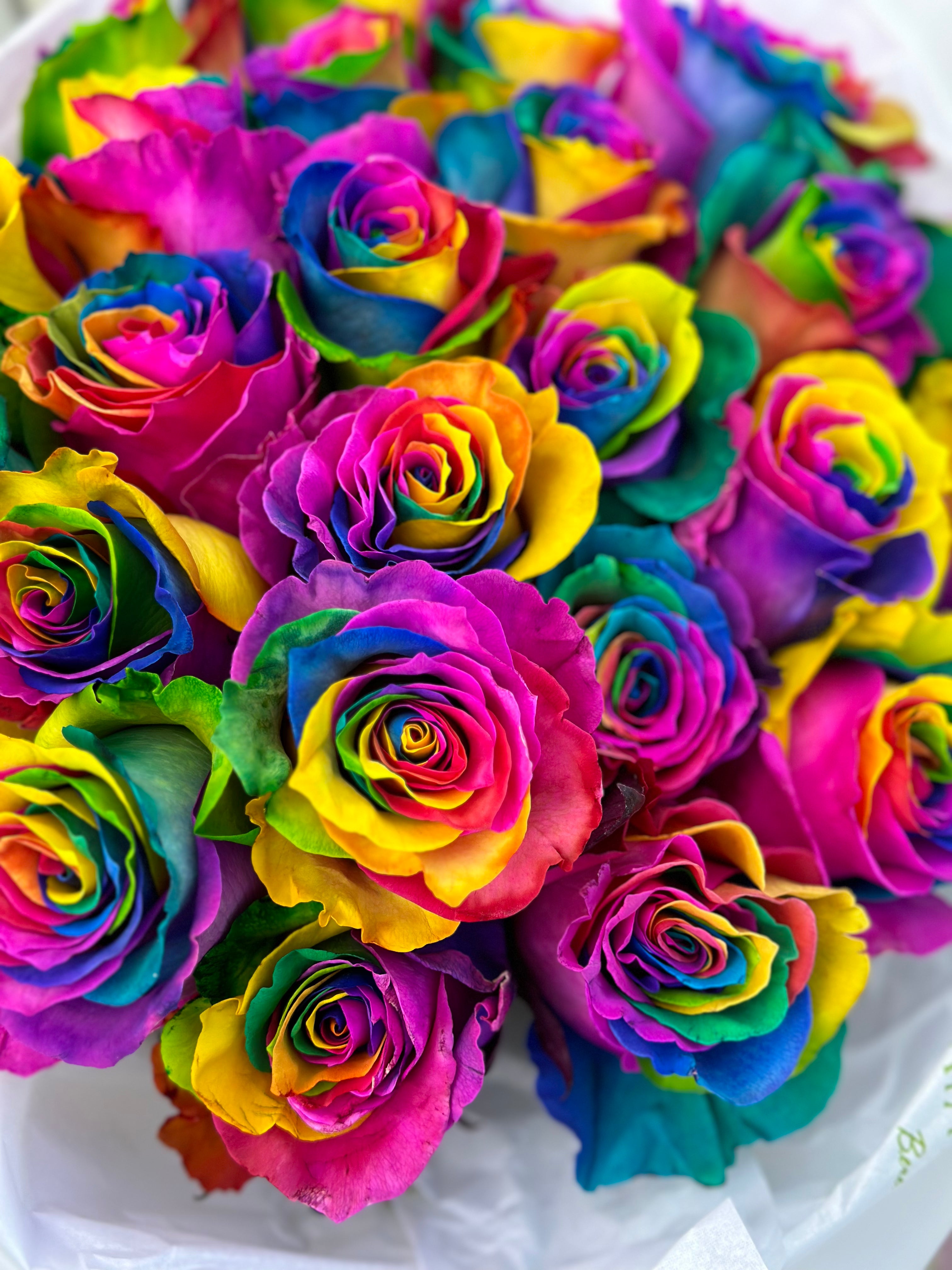 No. 310 Rainbow roses