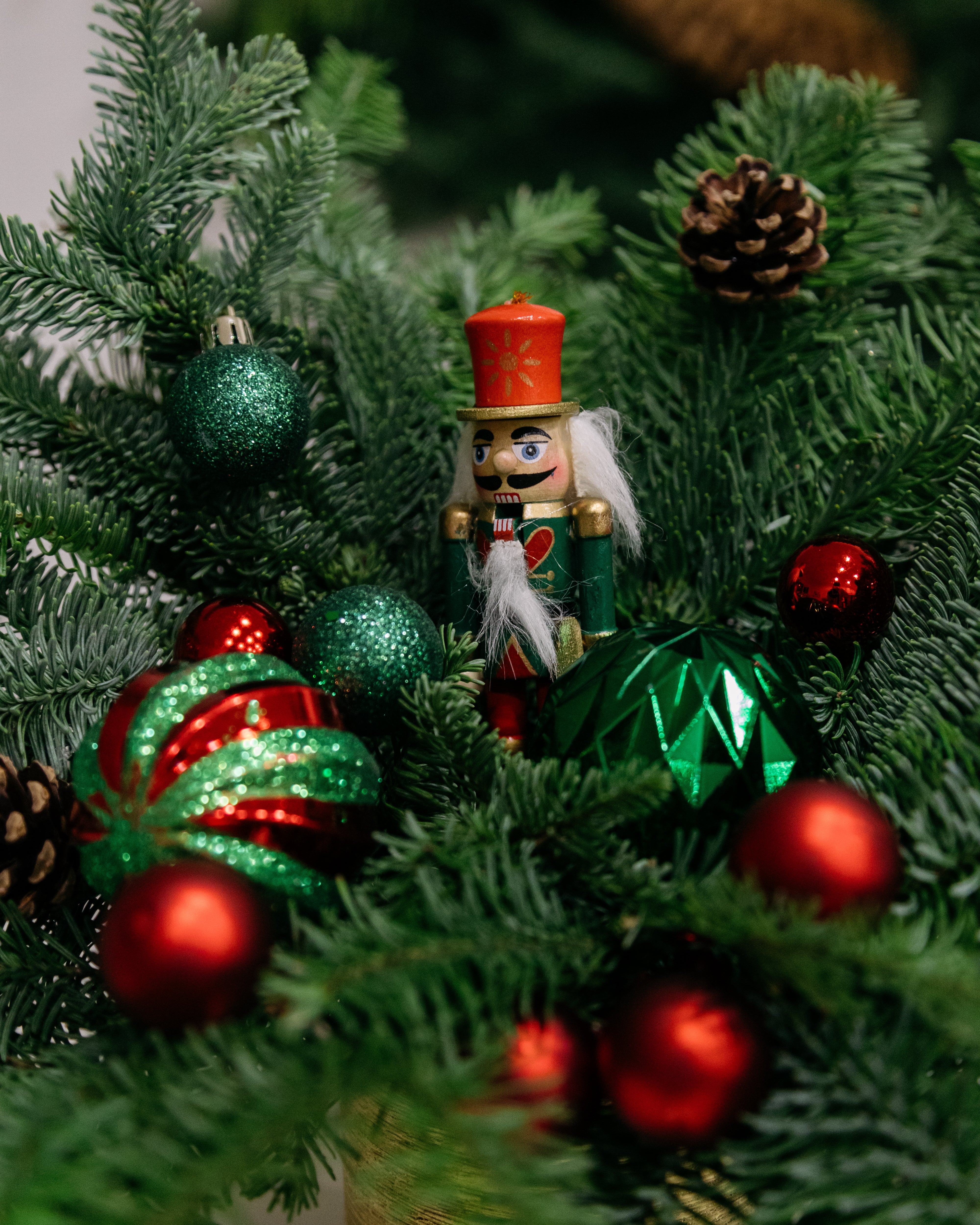 Red & Green Wonderland