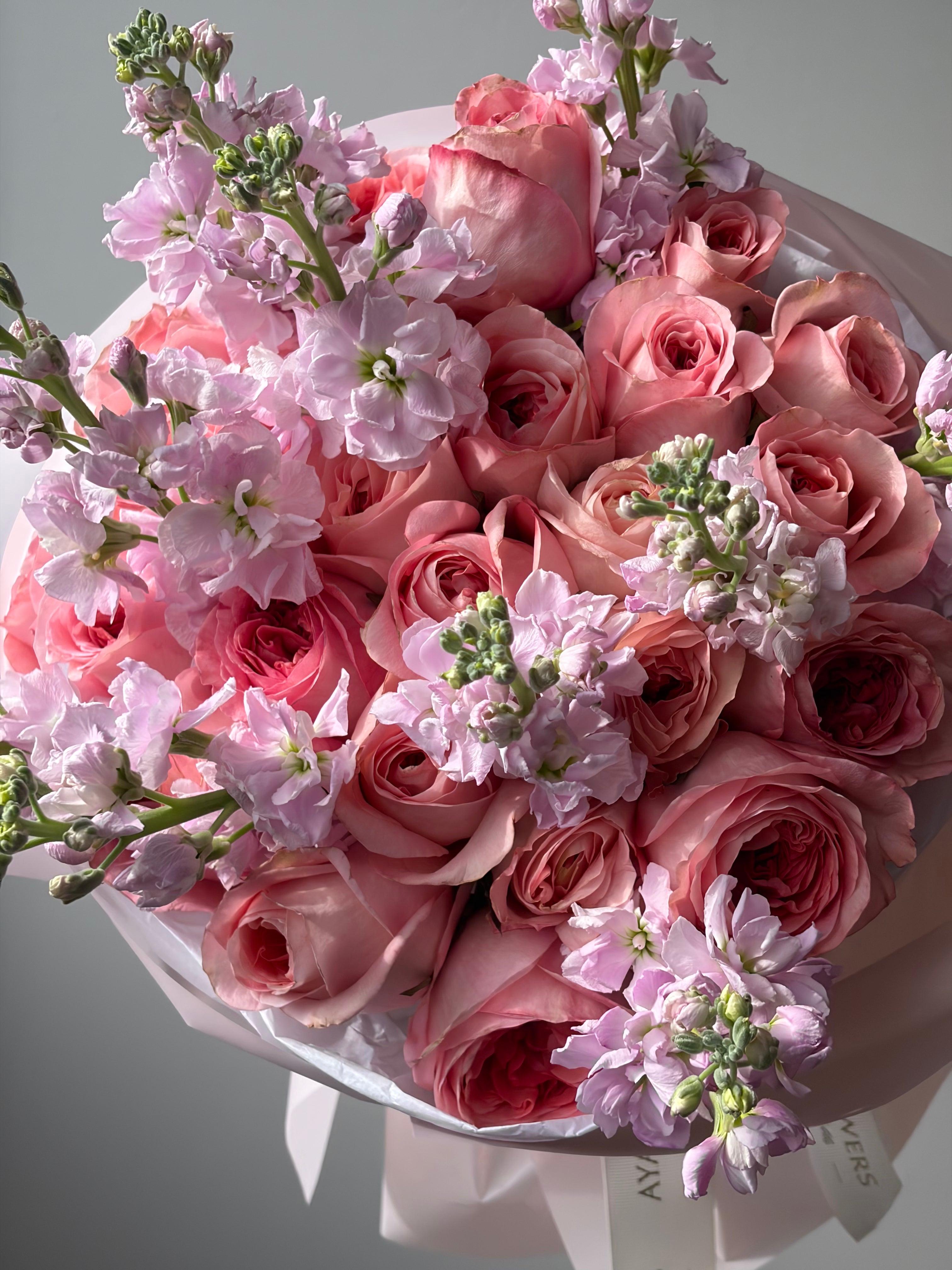 No.2 Morning Blush