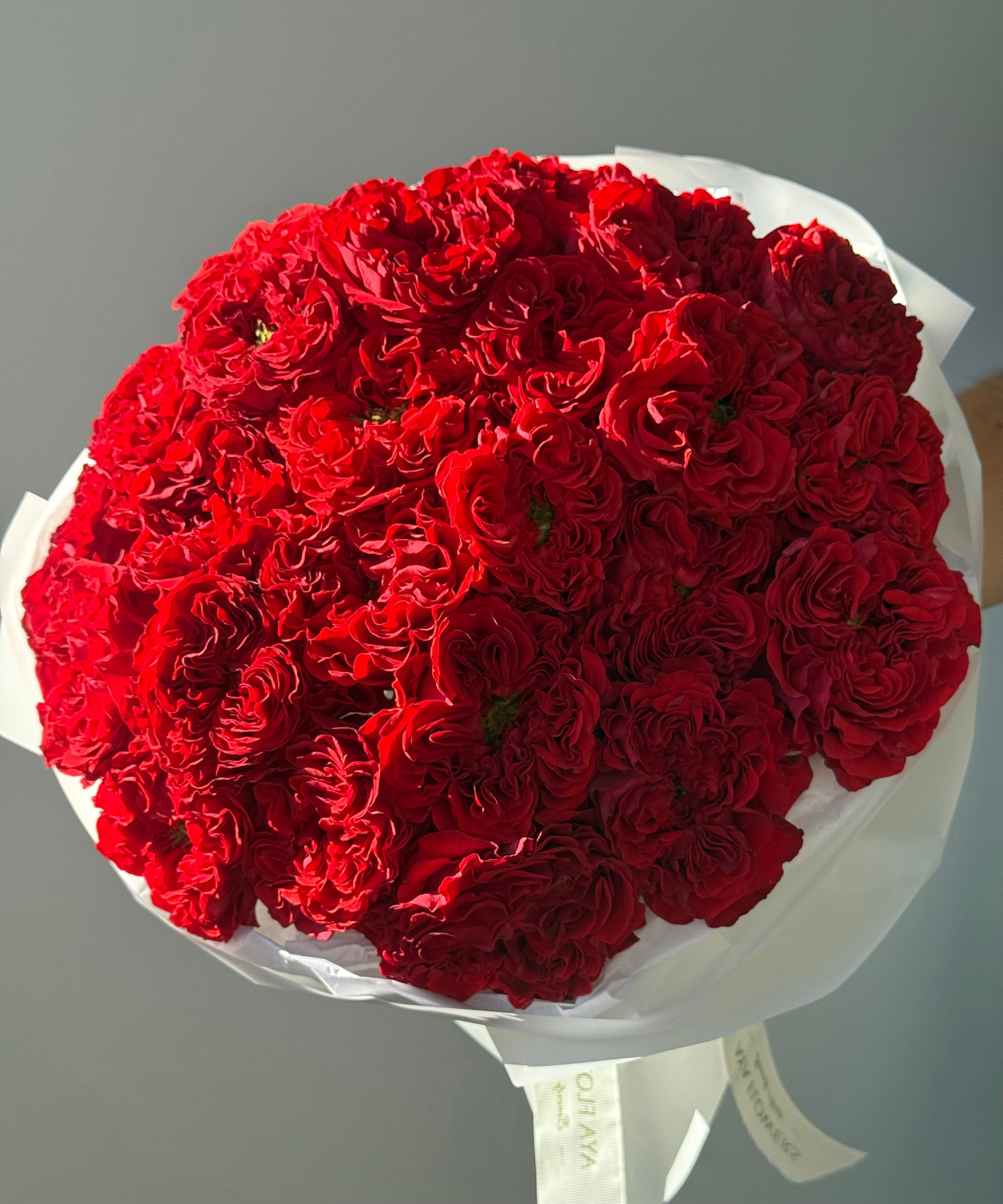 No.93 Red Couture