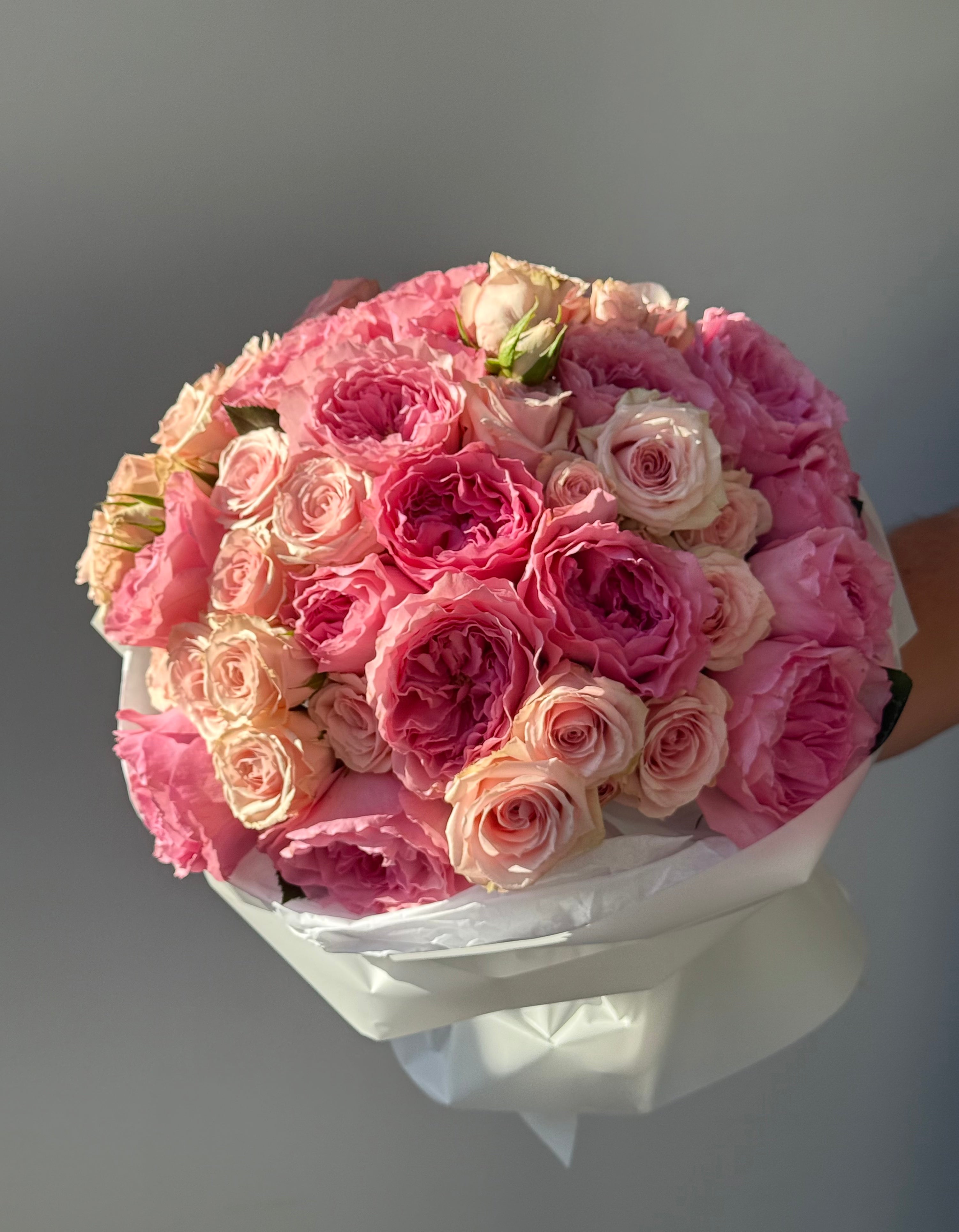 No.3 Belle Amour