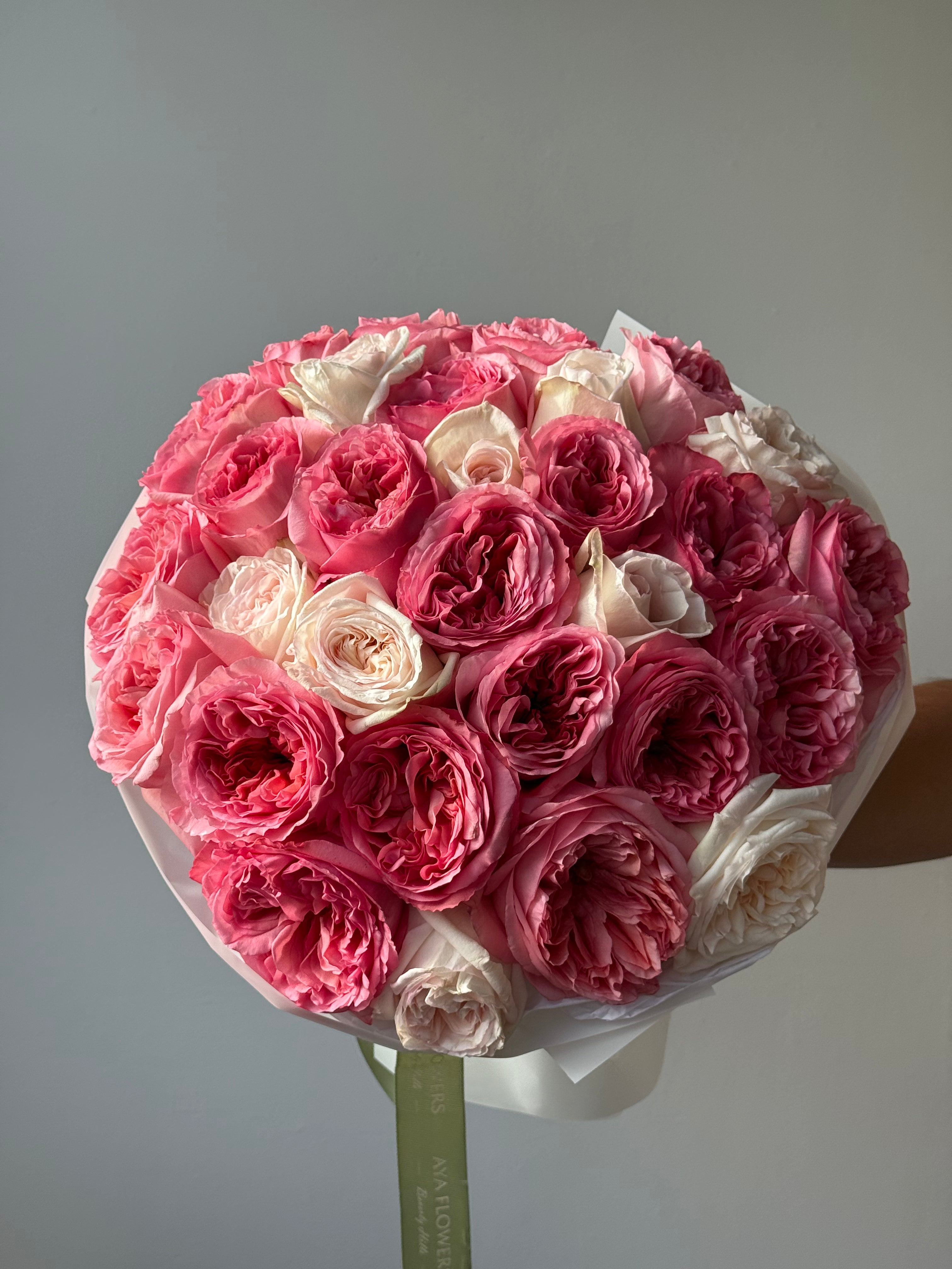 No.2 Blush Étoile