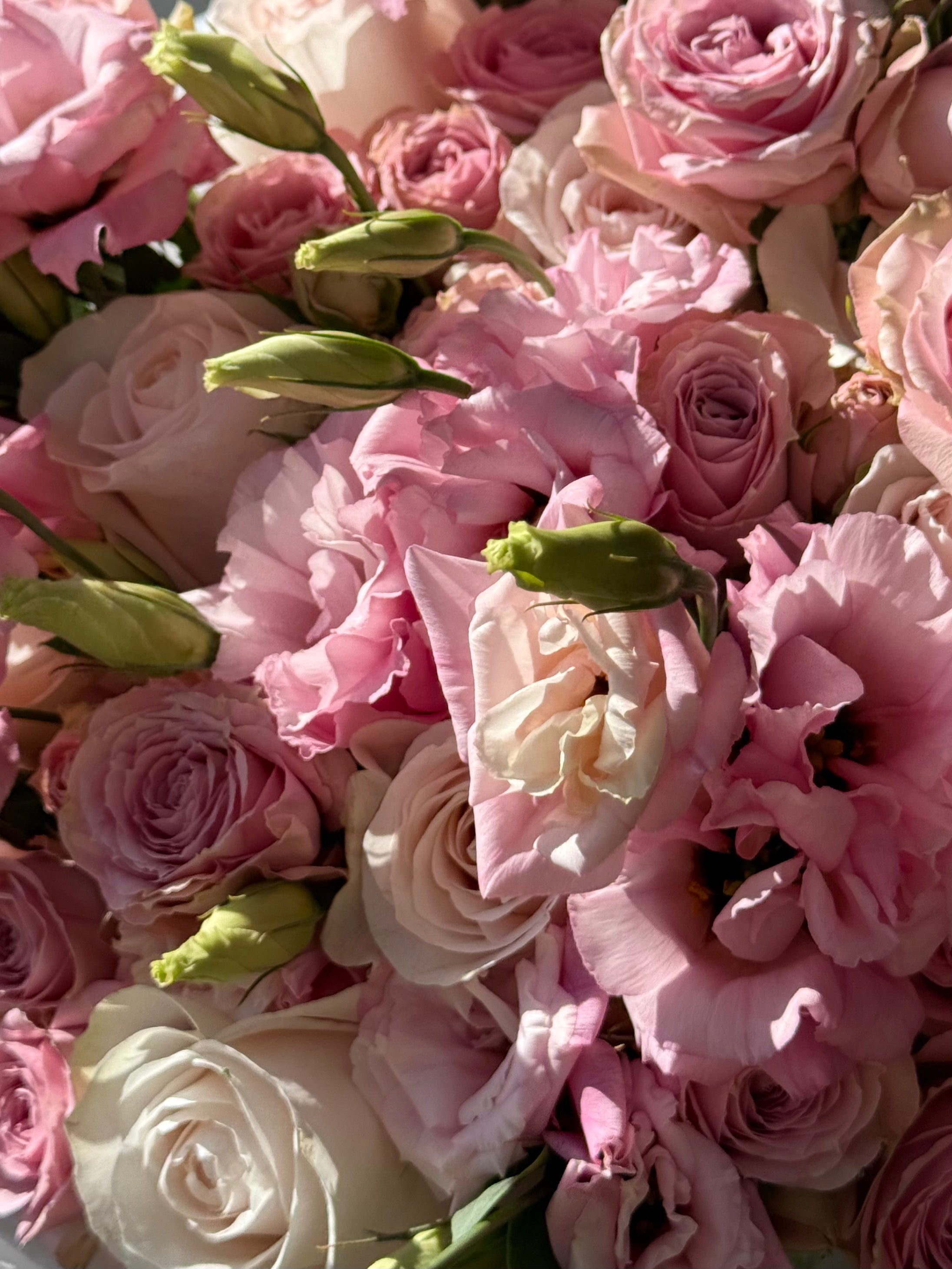 No.12 Paris Bloom