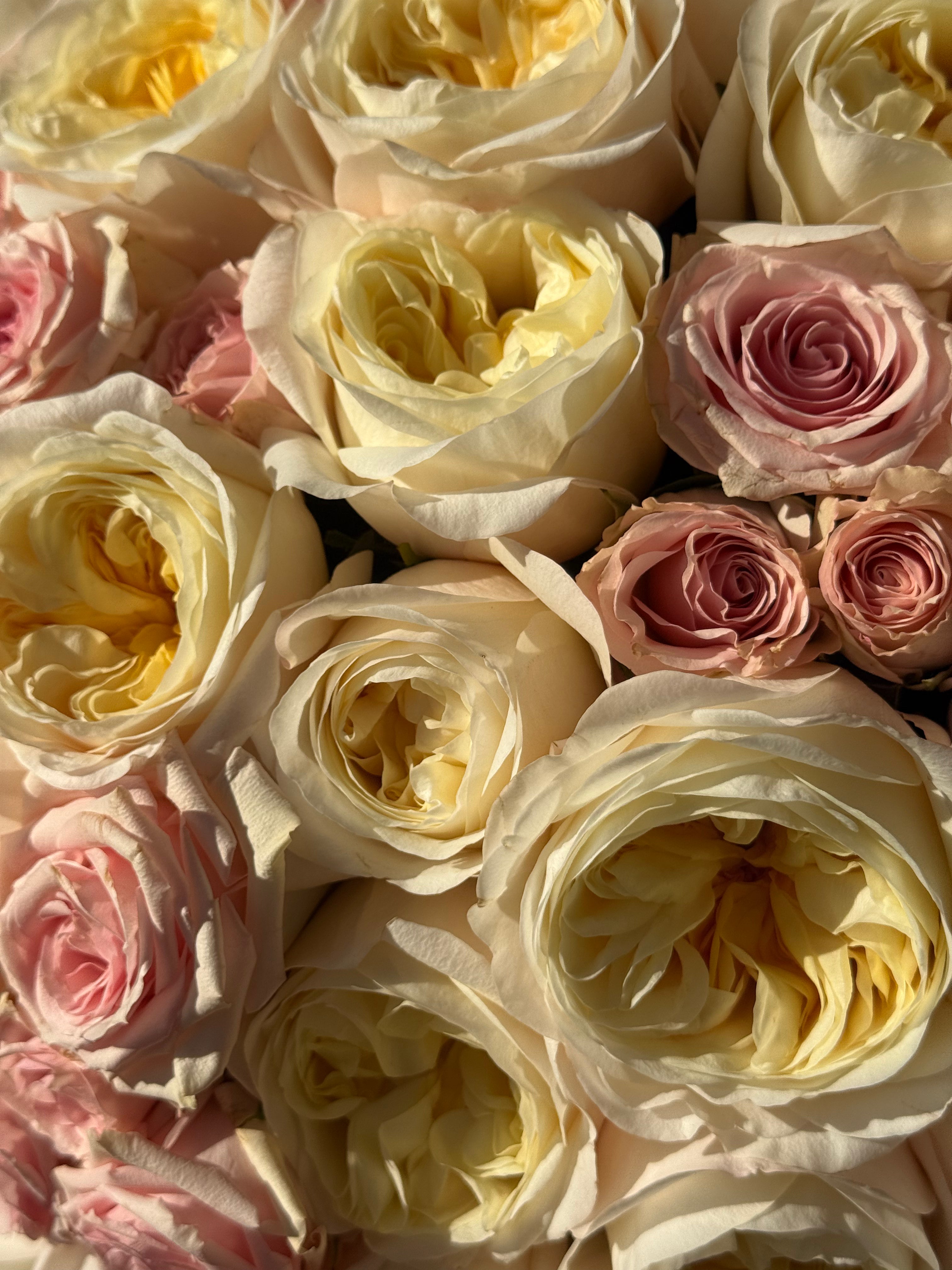 No.6 Poème d’Amour