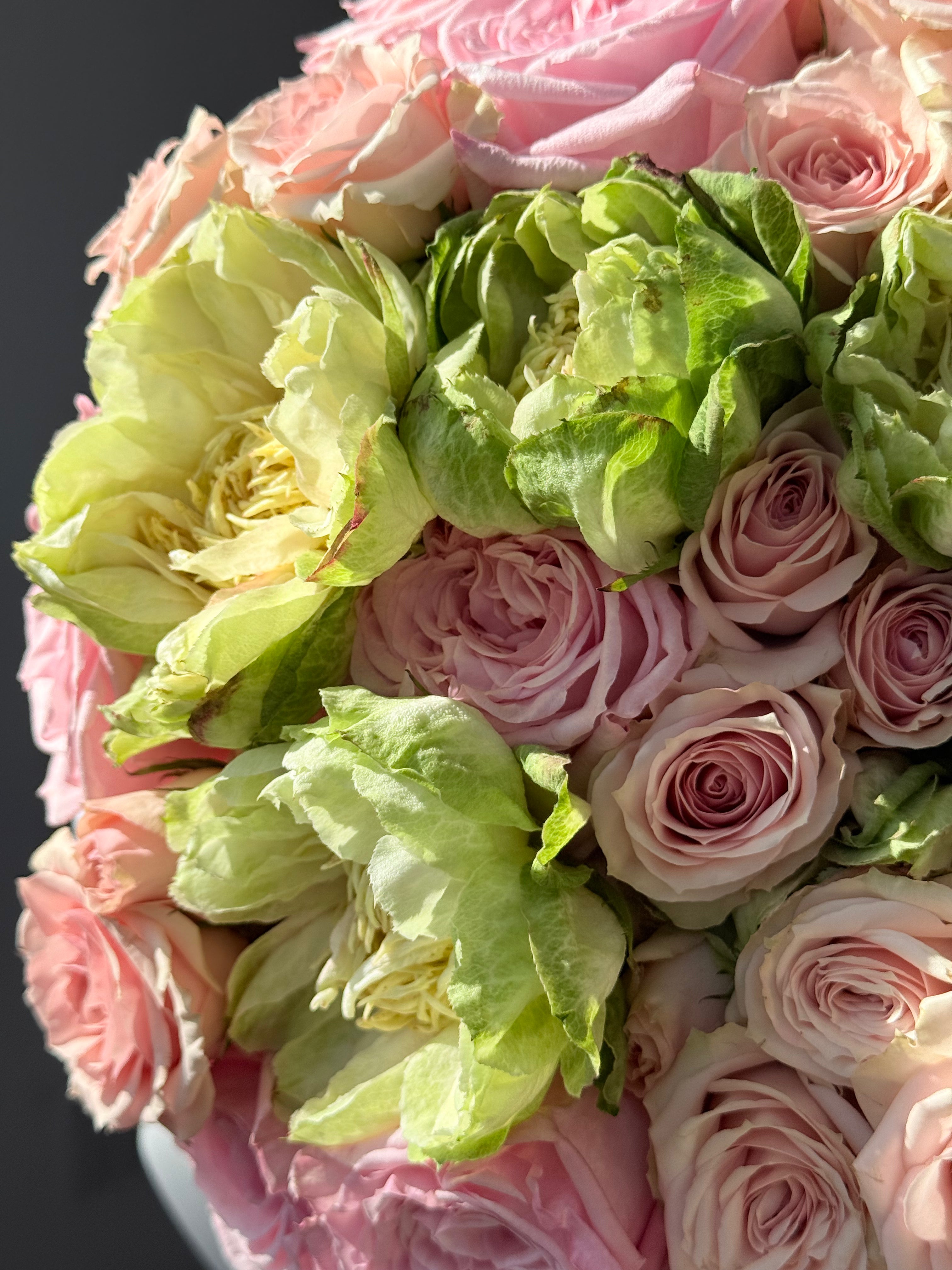 No.2 Lalaland