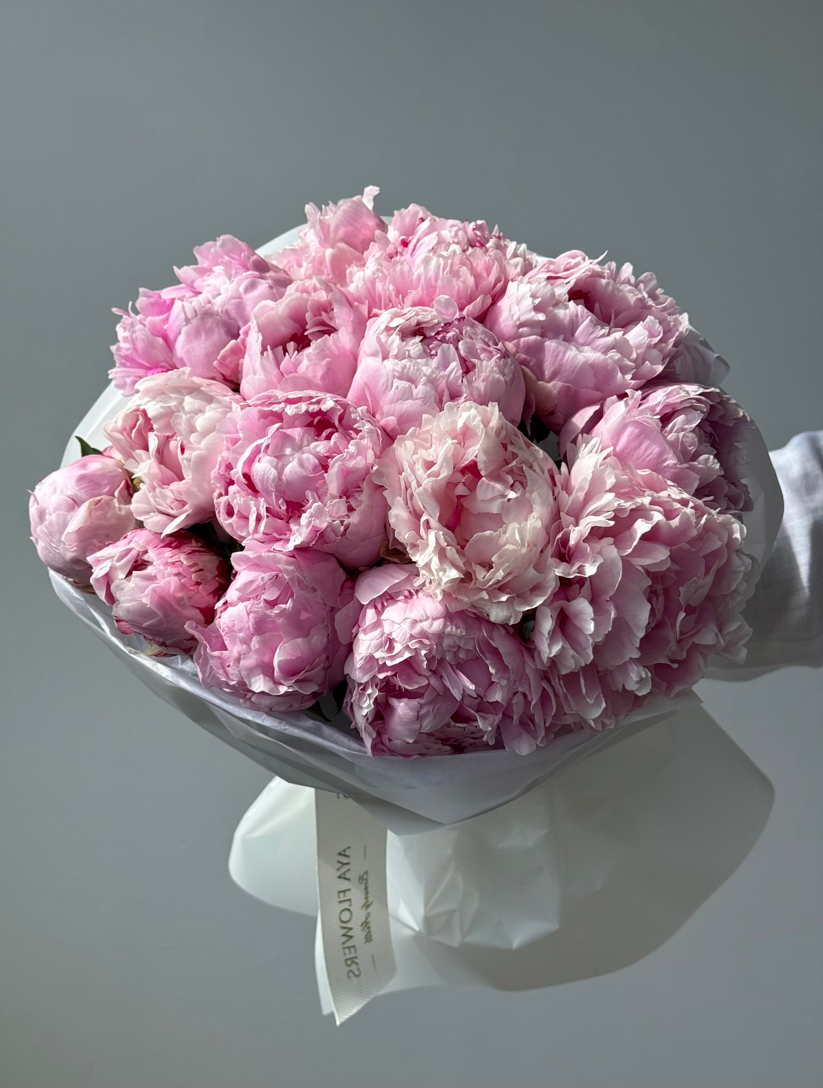 No.2 Cotton Kiss