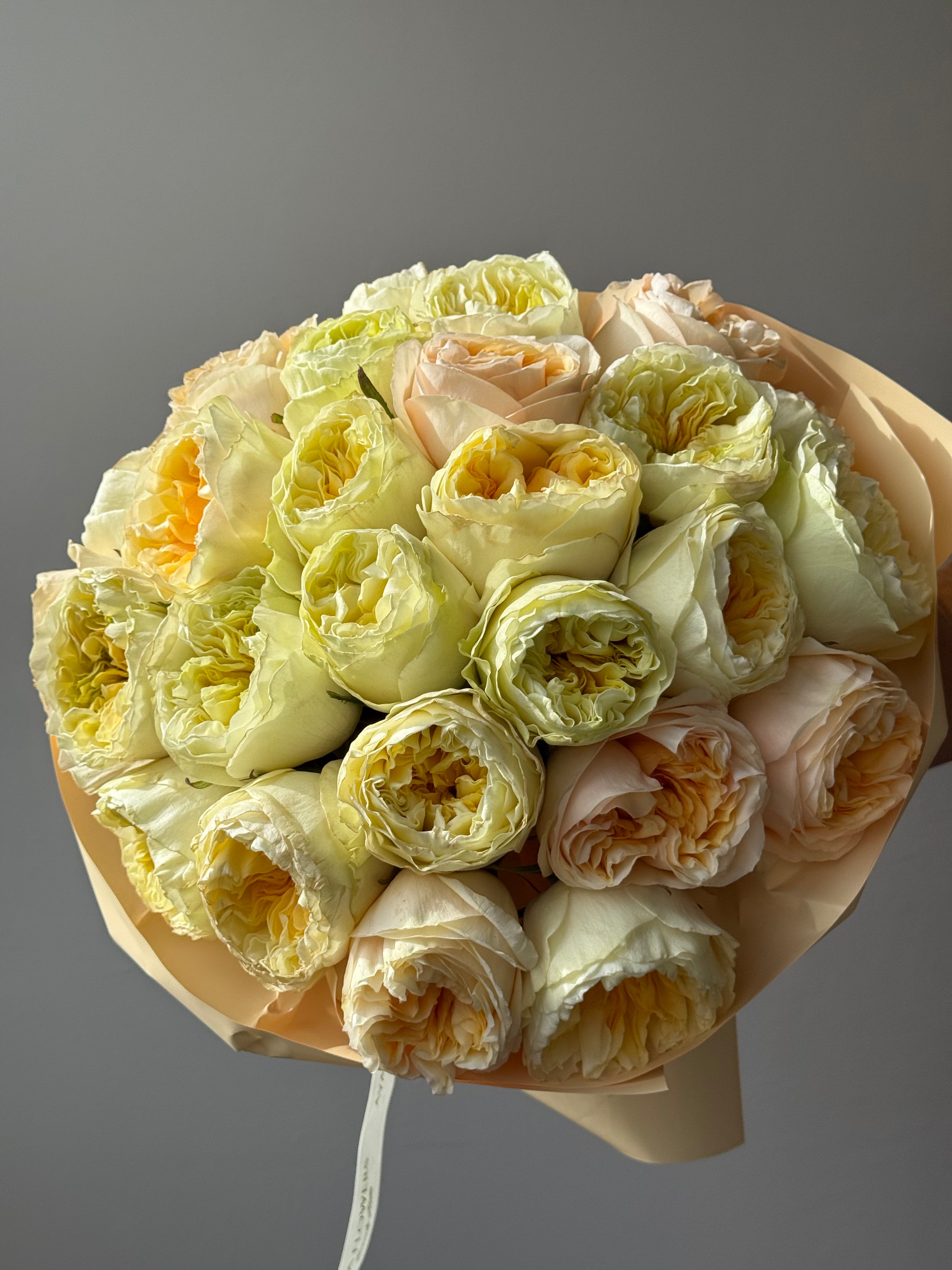 No.5  Honeydew