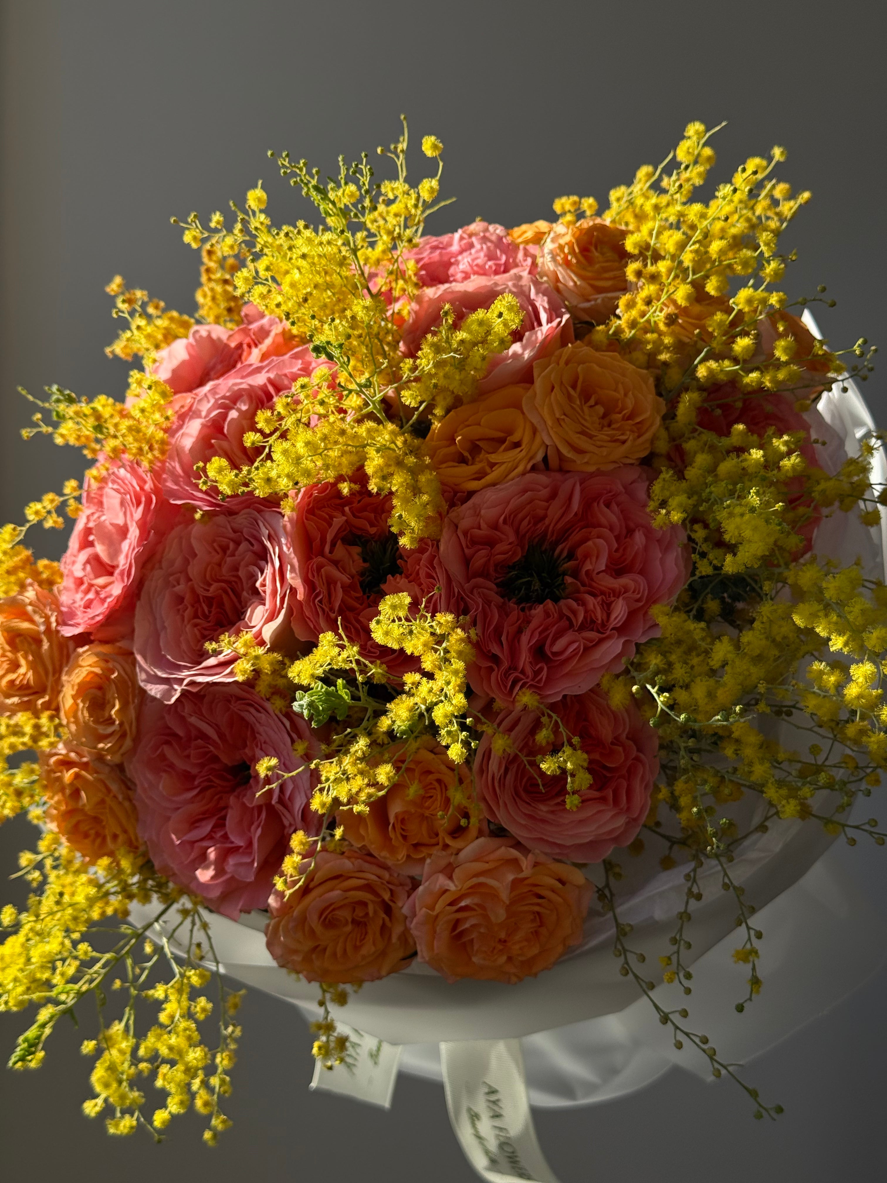 No. 32 Blooming O’Hara